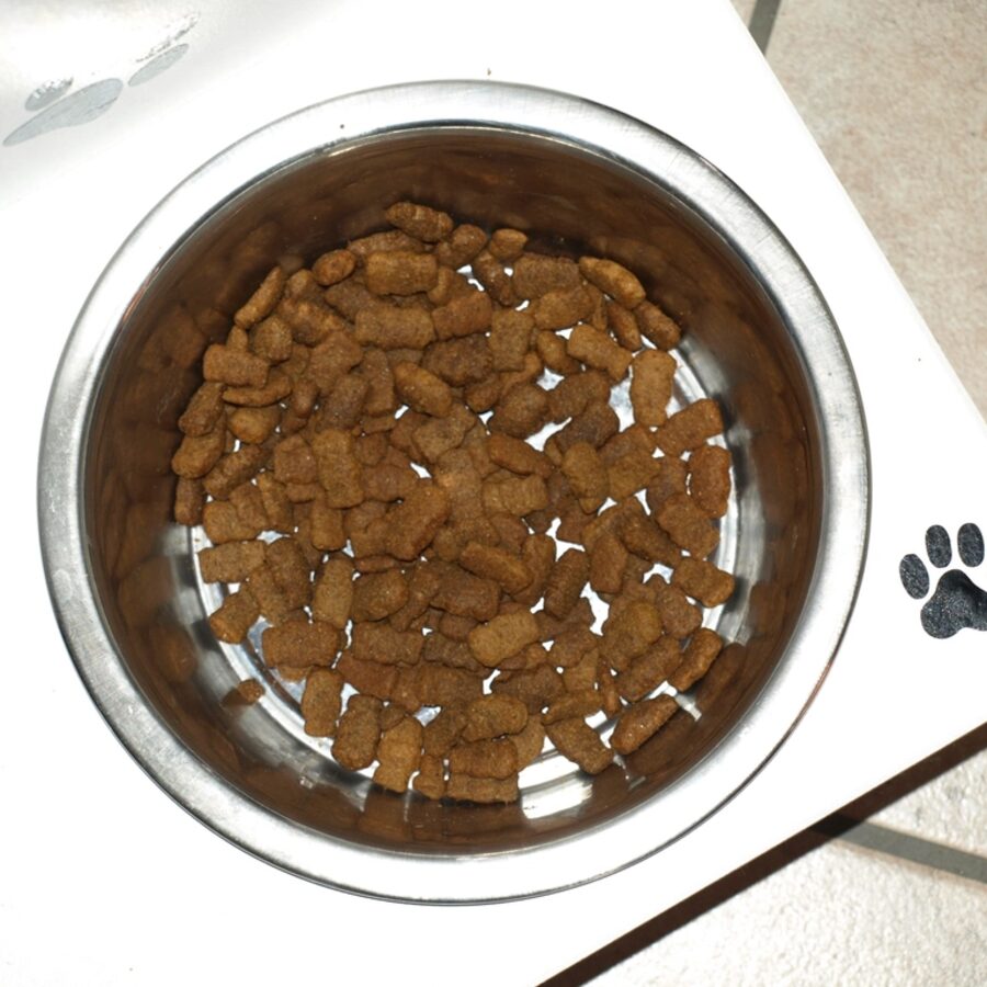 Non-Slip Feeding Mat & Bowl Set