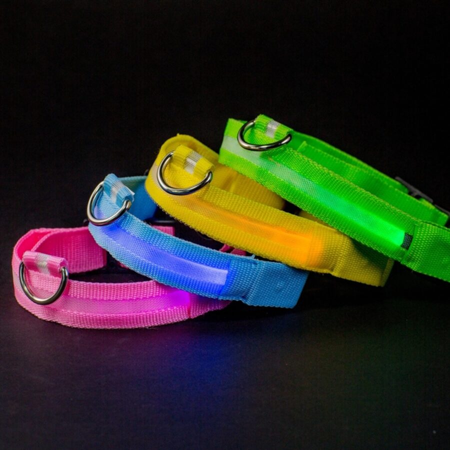 LED Rechargeable Safety Collar