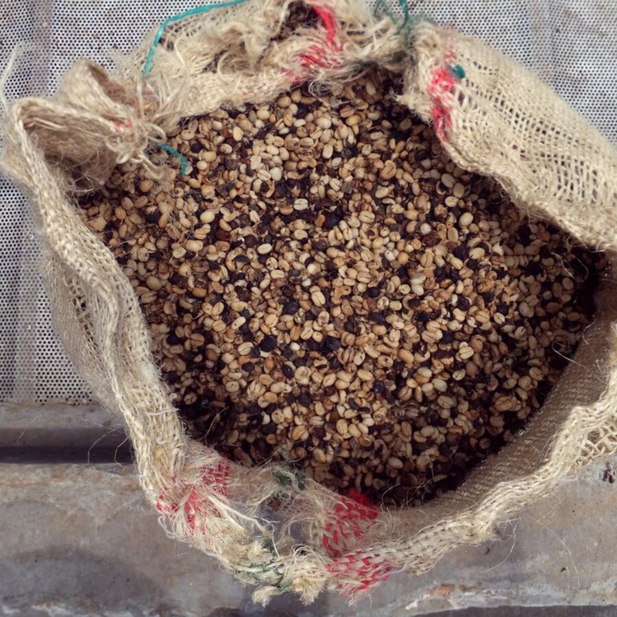 Single-Origin Whole Bean Coffee