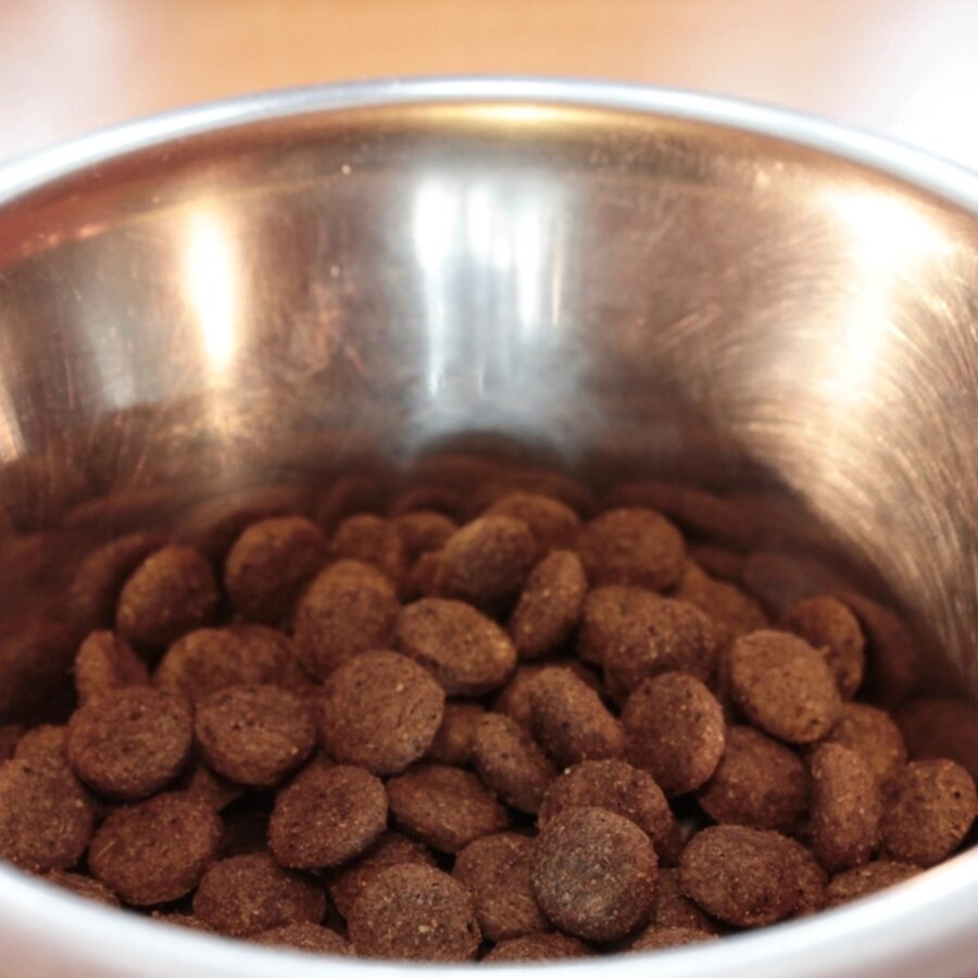 Stainless Steel Dog Bowl
